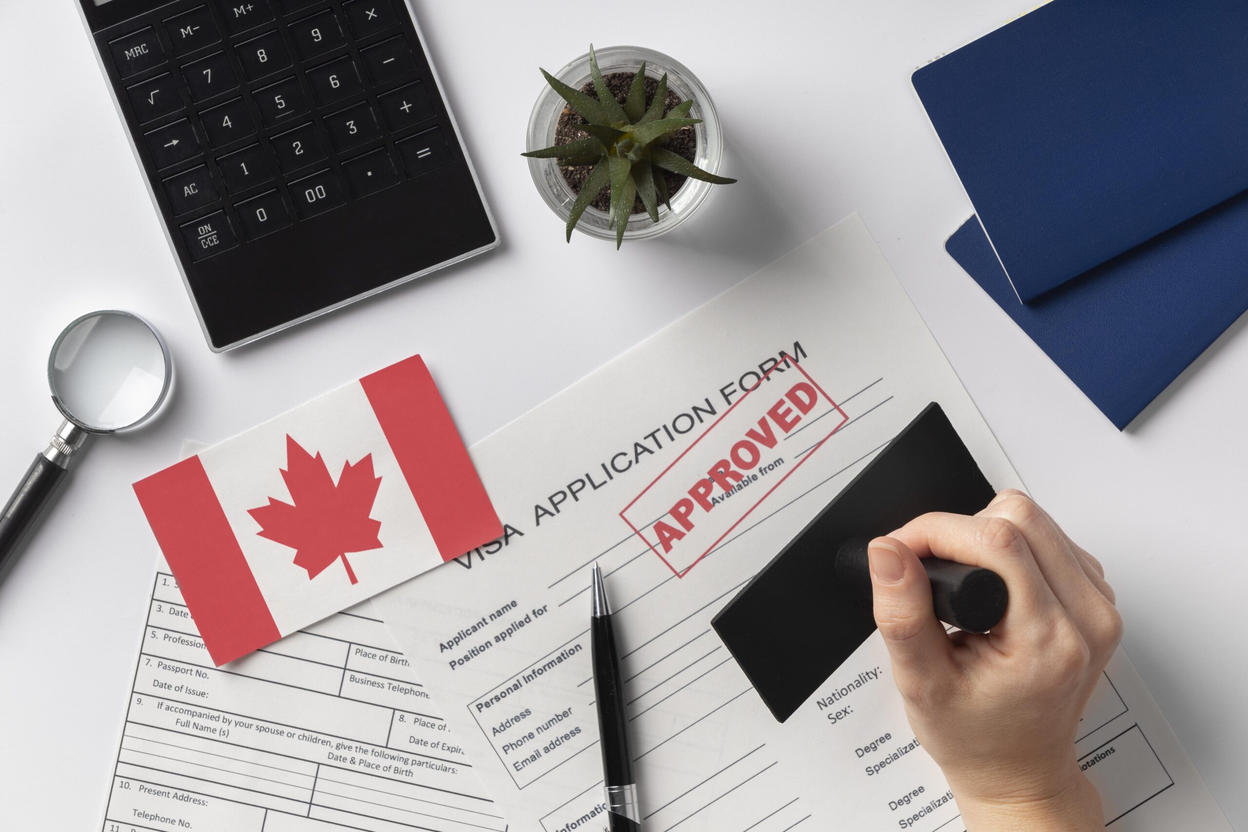 Immigration Appeal Division